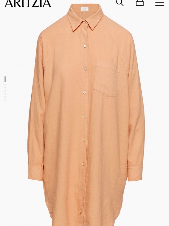 Aritzia Dresses & Skirts - Wilfred Free Boyfriend Linen Dress